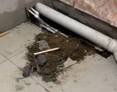 庐阳卫生间漏水检测哪家好