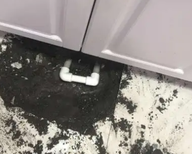 庐阳查漏水哪家好